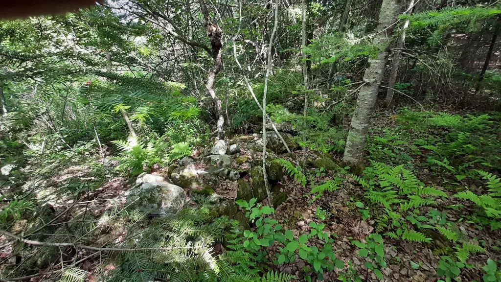 Picture 16