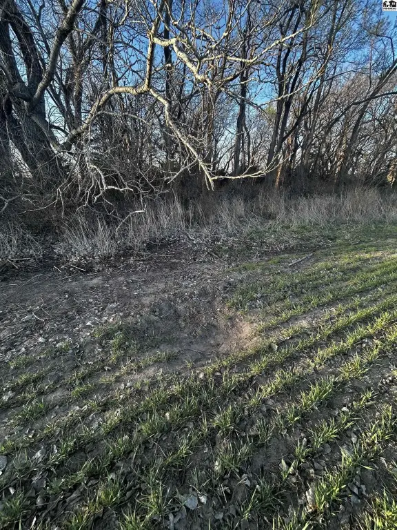 Picture 39