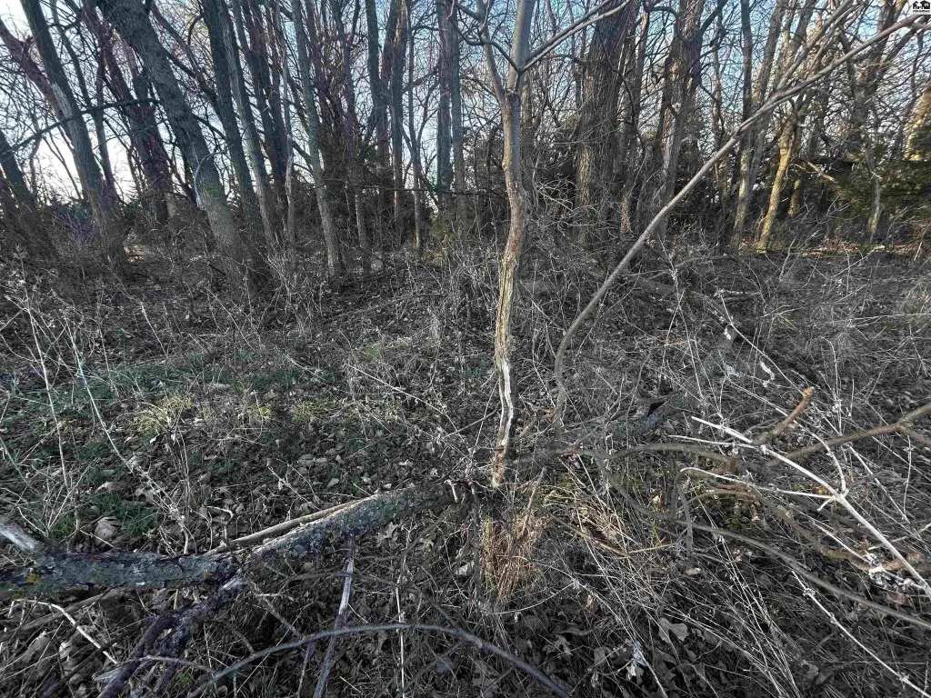 Picture 36