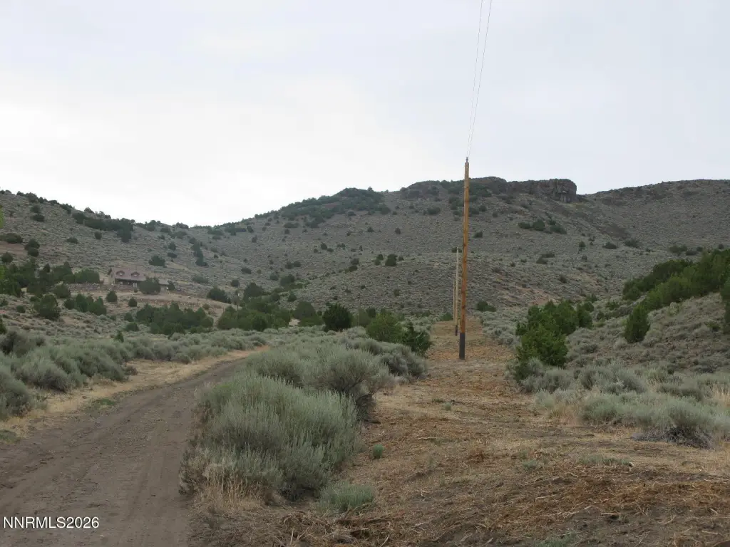 Picture 23