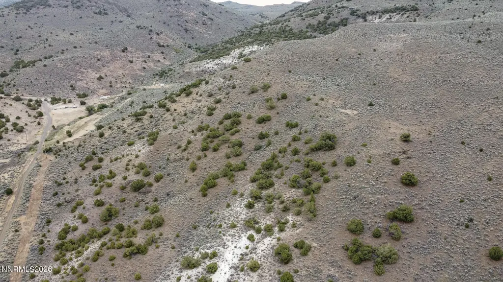 Picture 28