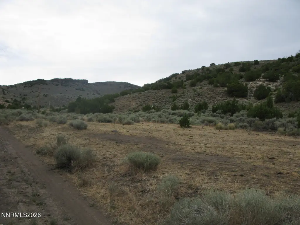 Picture 16