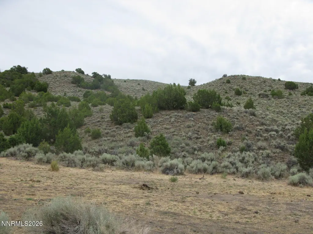 Picture 20