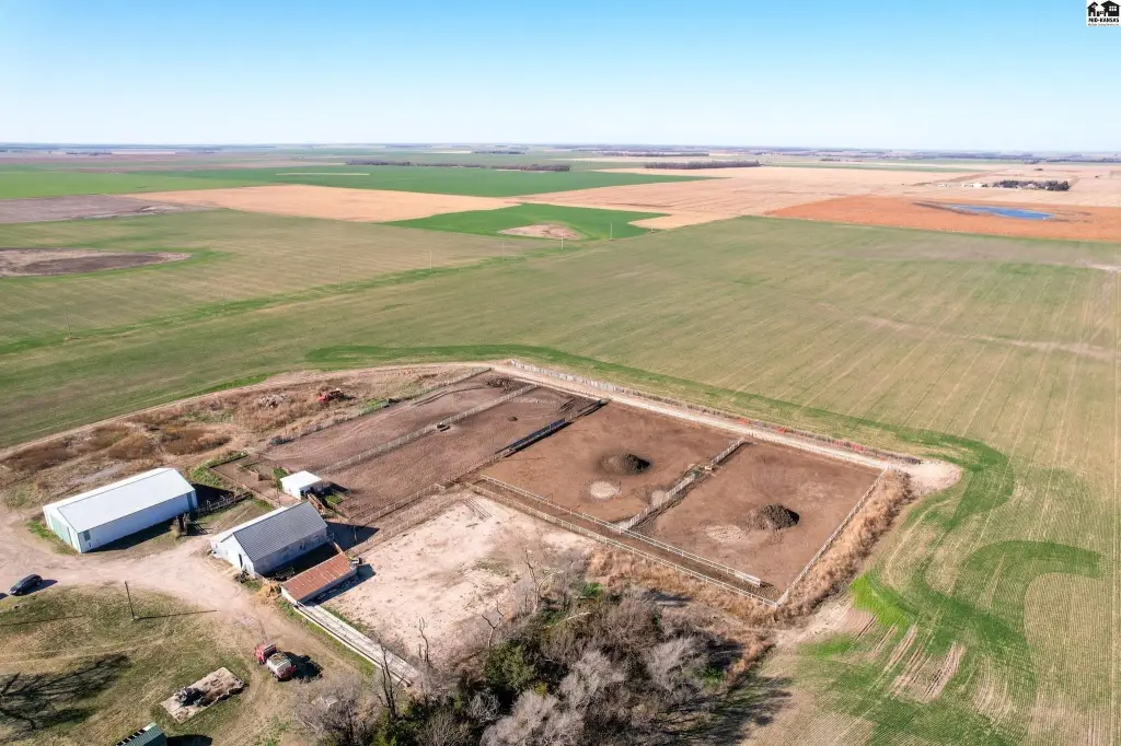 Picture 7