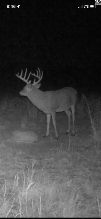 Picture 25