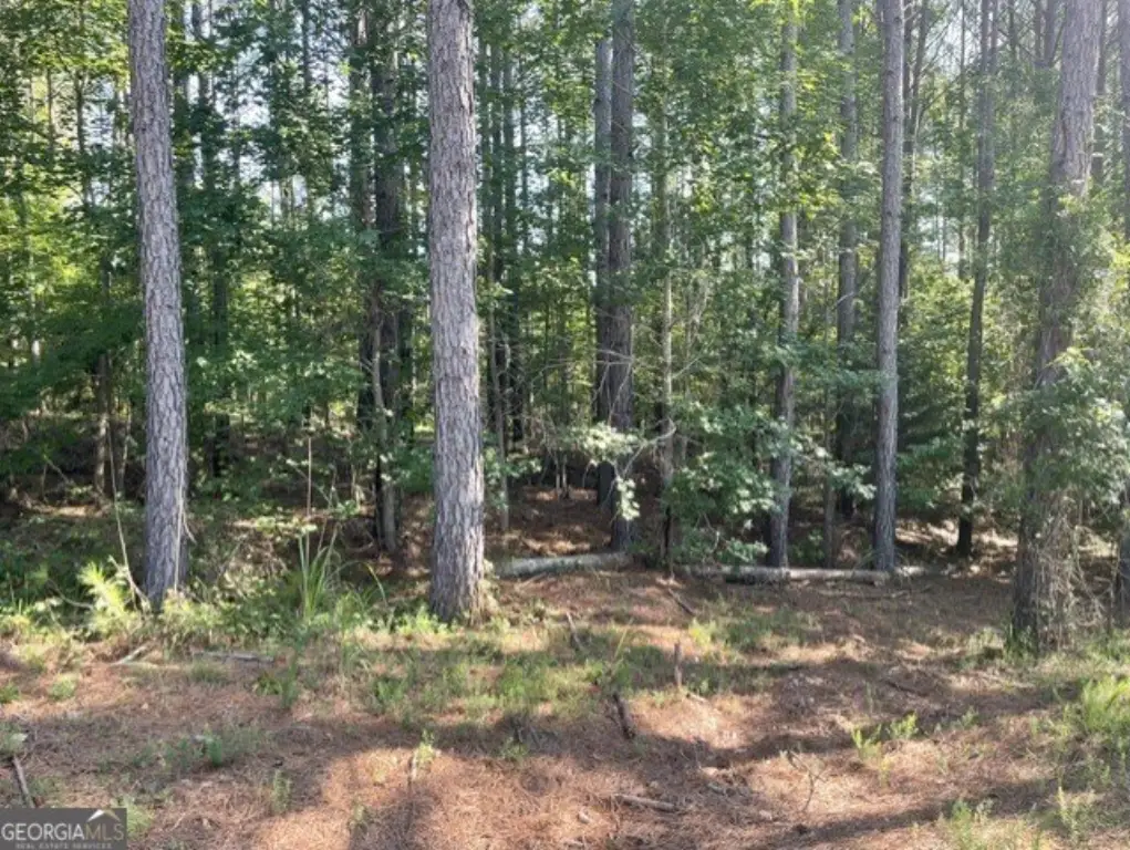 Picture 22