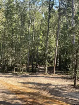 Winnsboro Wooded Acreage Homesite