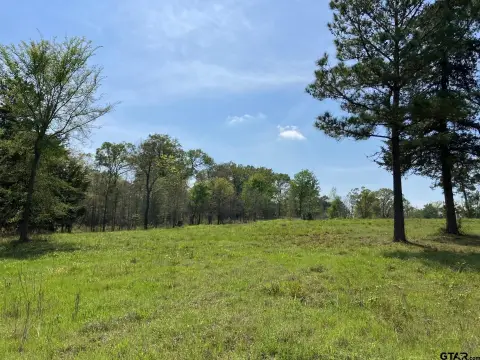 Winona, TX Rural Acreage