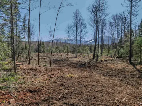 Franconia Land with Mountain Views