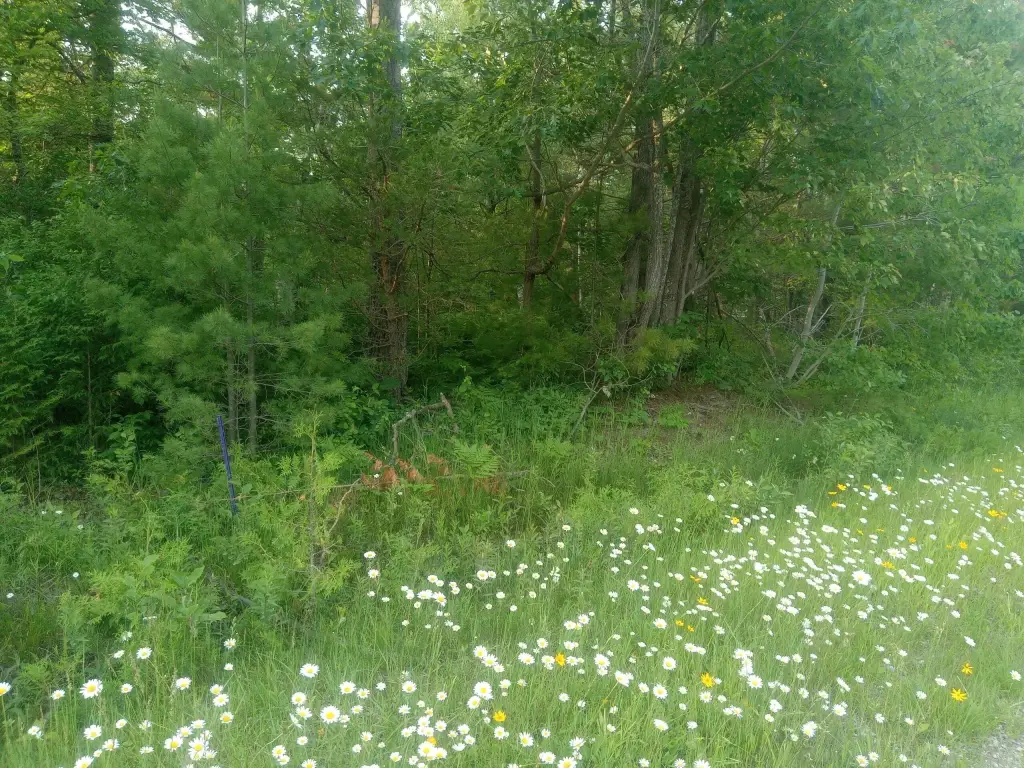 Picture 4