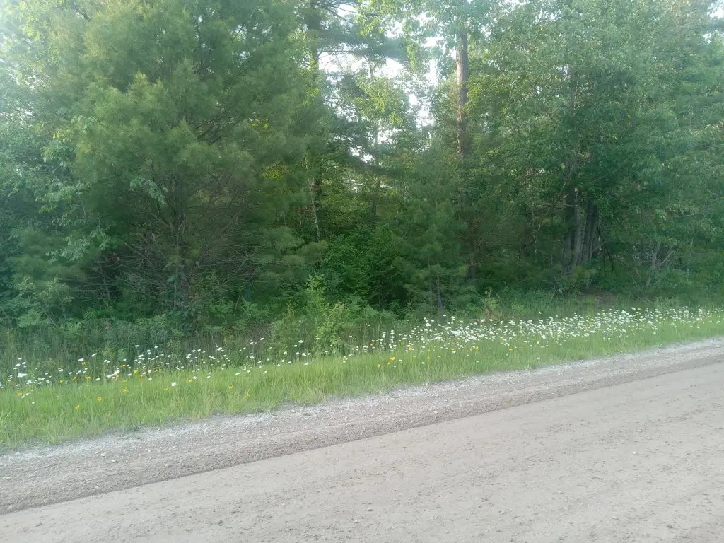 Picture 5