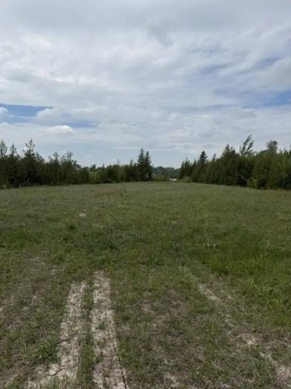 Picture 3
