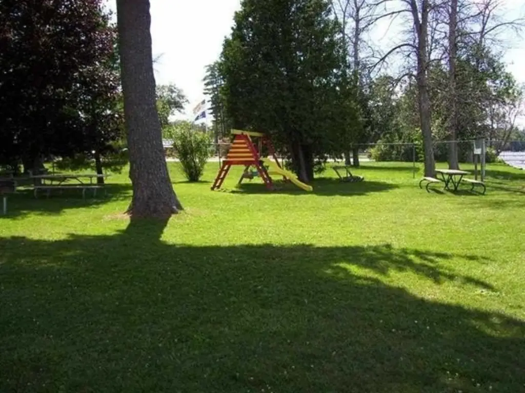 Picture 7