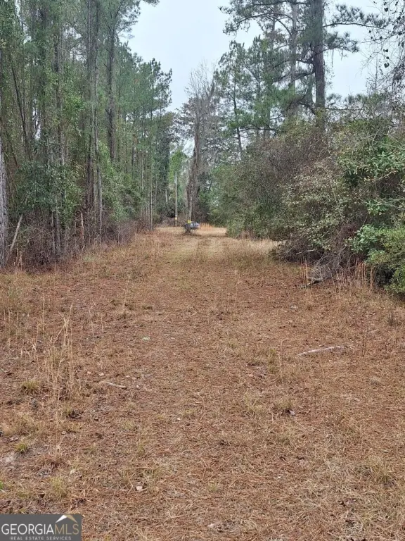 Picture 2