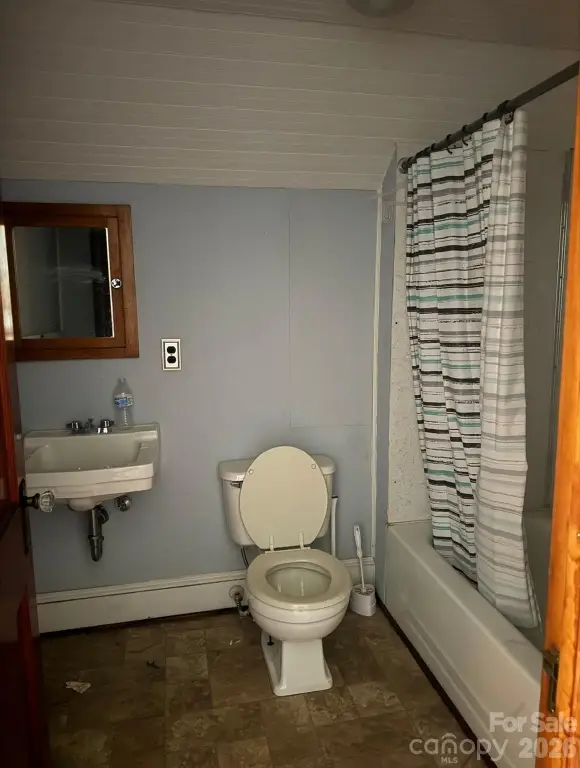 Picture 8