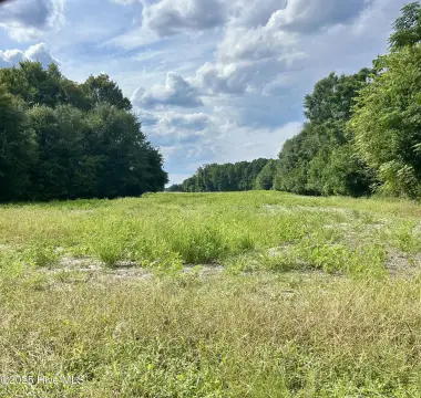 Laurinburg Land Ready For Vision