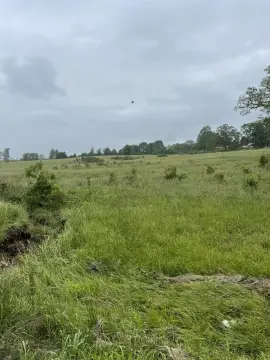 Picture of Land at S Jefferson 1007, Ava, MO