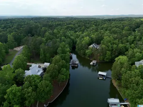 Lake Wedowee Lot For Sale