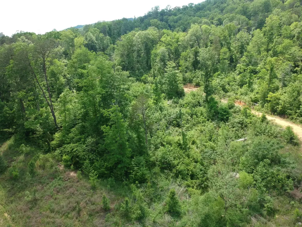 Picture 13