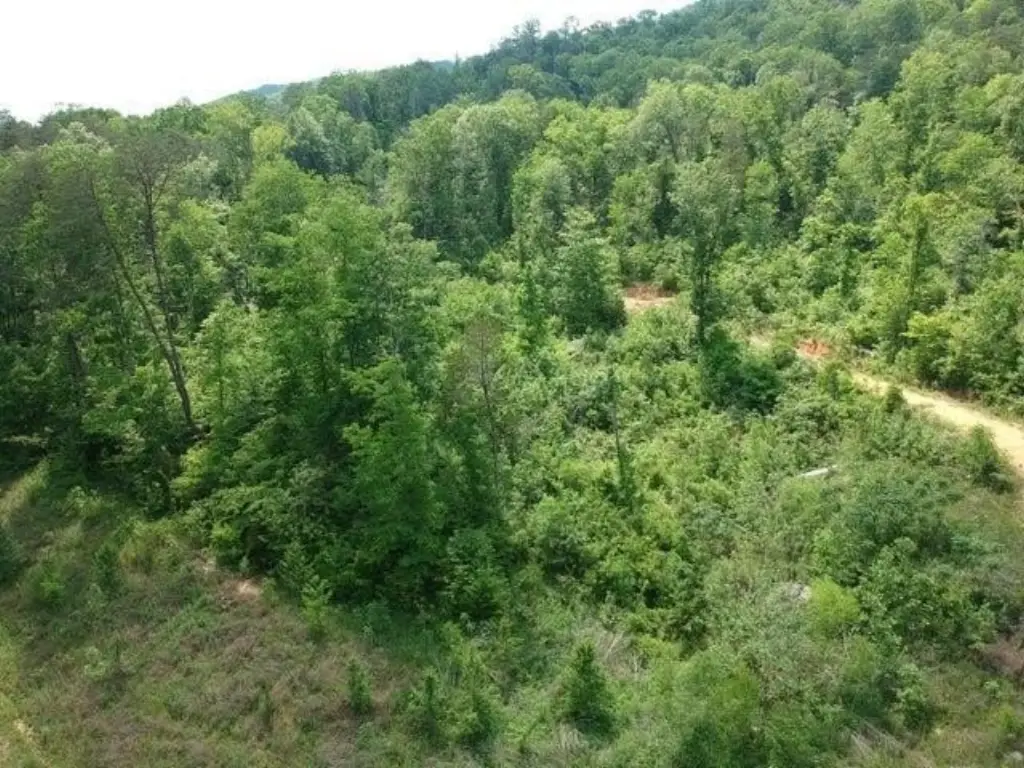 Picture 37
