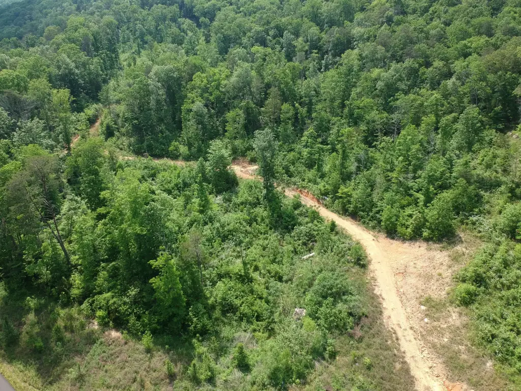 Picture 15