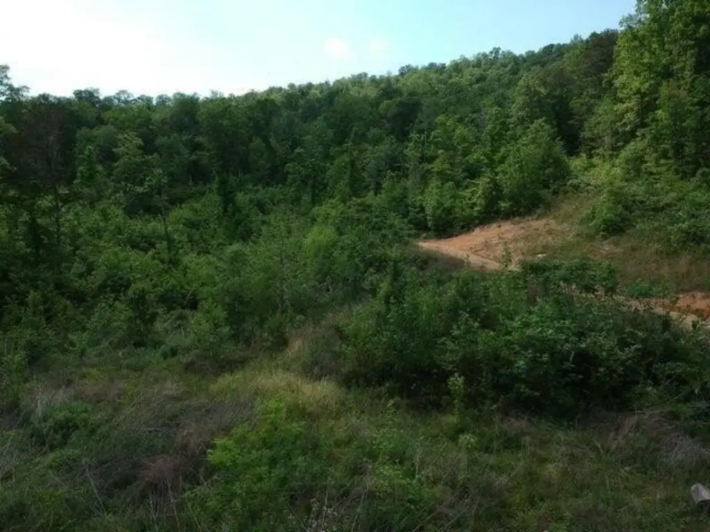 Picture 38