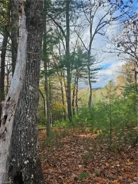 Mountain Land in Gated Community