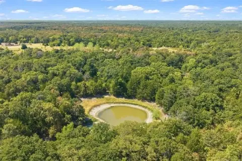 Wooded Hunting Land with Ponds