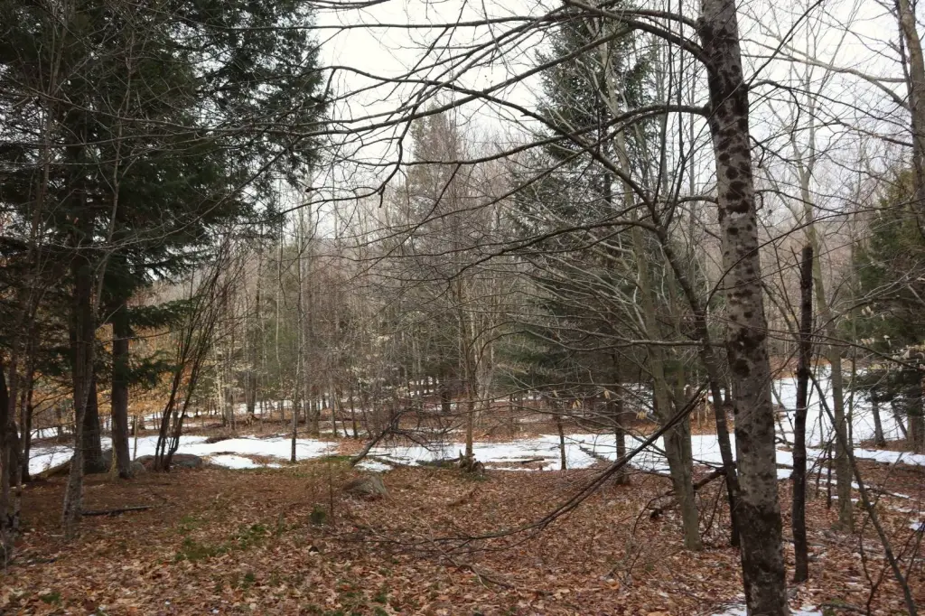 Picture 13