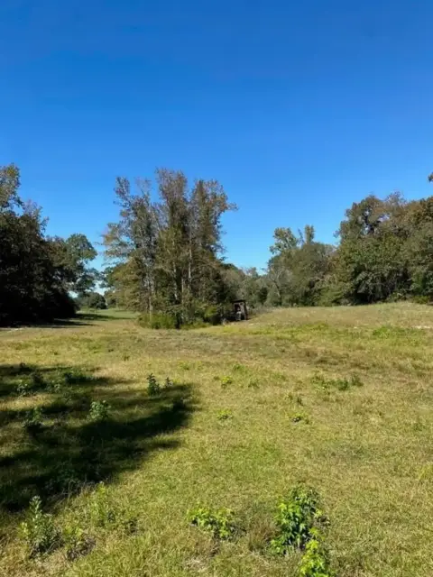 Leon County Wooded Ranch Land