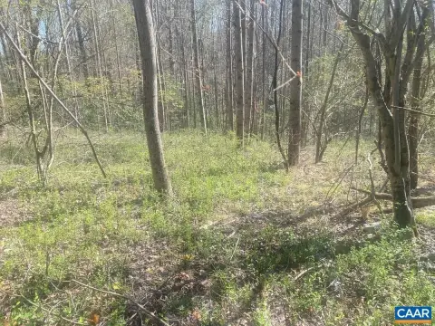 Residential Land in Esmont, VA