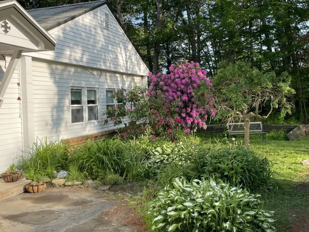 Picture 2