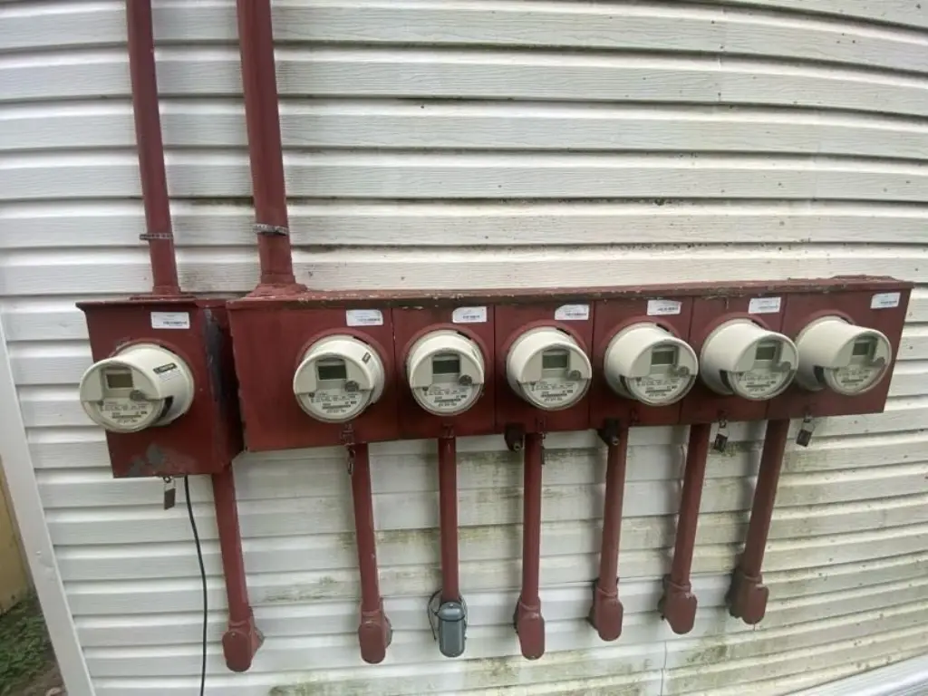 Picture 6