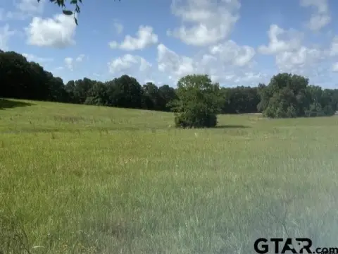 Unrestricted Land in Henderson, Texas