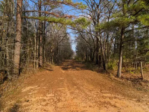 Kilgore Wooded Acreage Homesite Opportunity