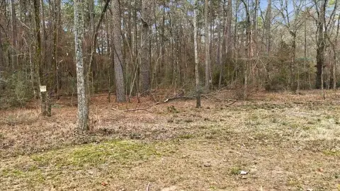 Secluded East Texas Hunting Land