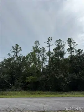 Citrus Springs .41-Acre Lot