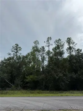 Citrus Springs Residential Lot