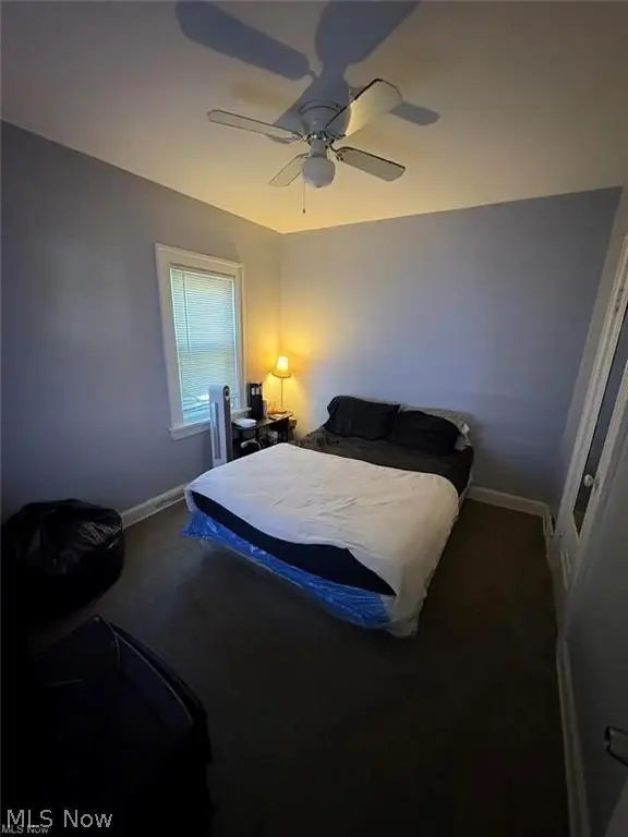 Picture 7