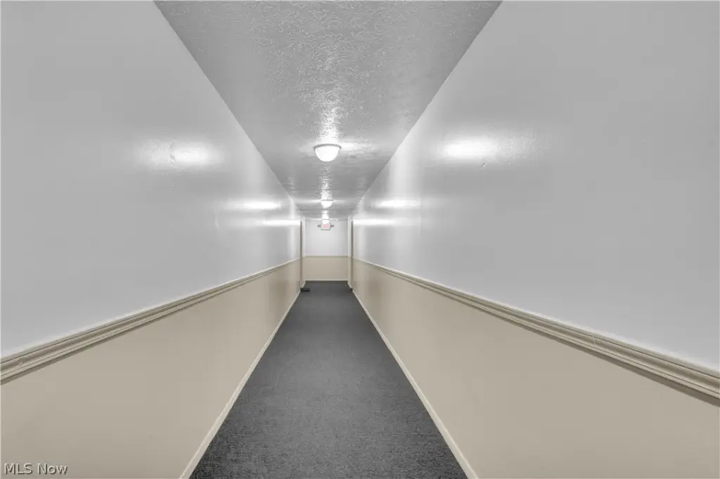 Picture 32