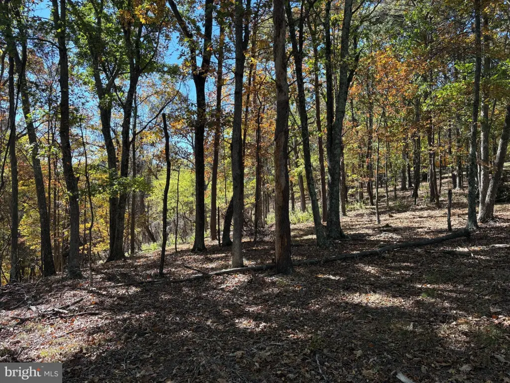 Picture 23