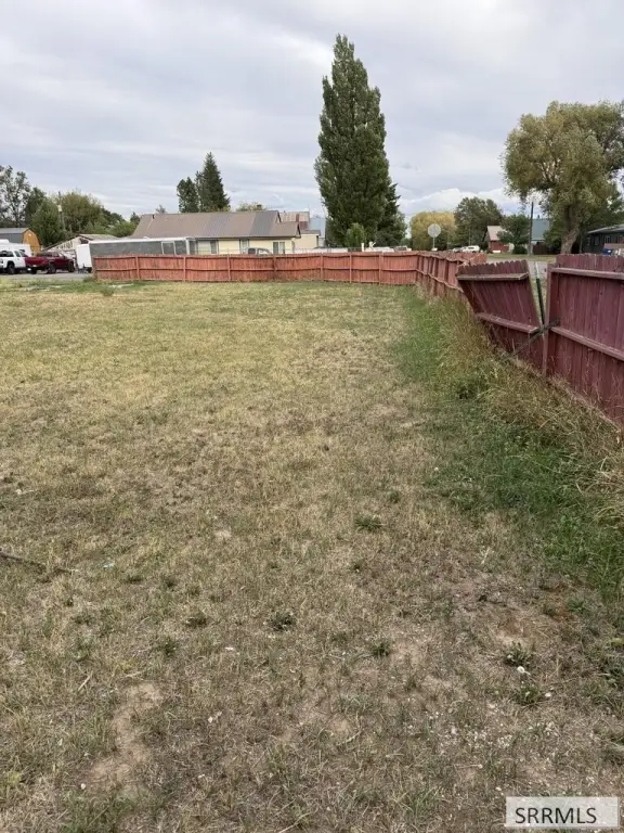 Picture 6