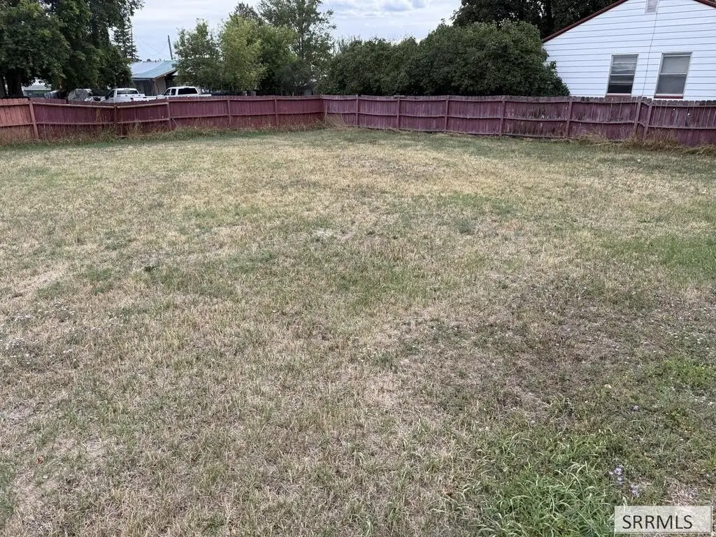 Picture 4