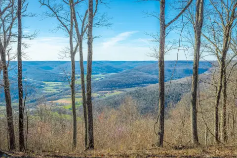 Bluff Lot in Jasper Highlands