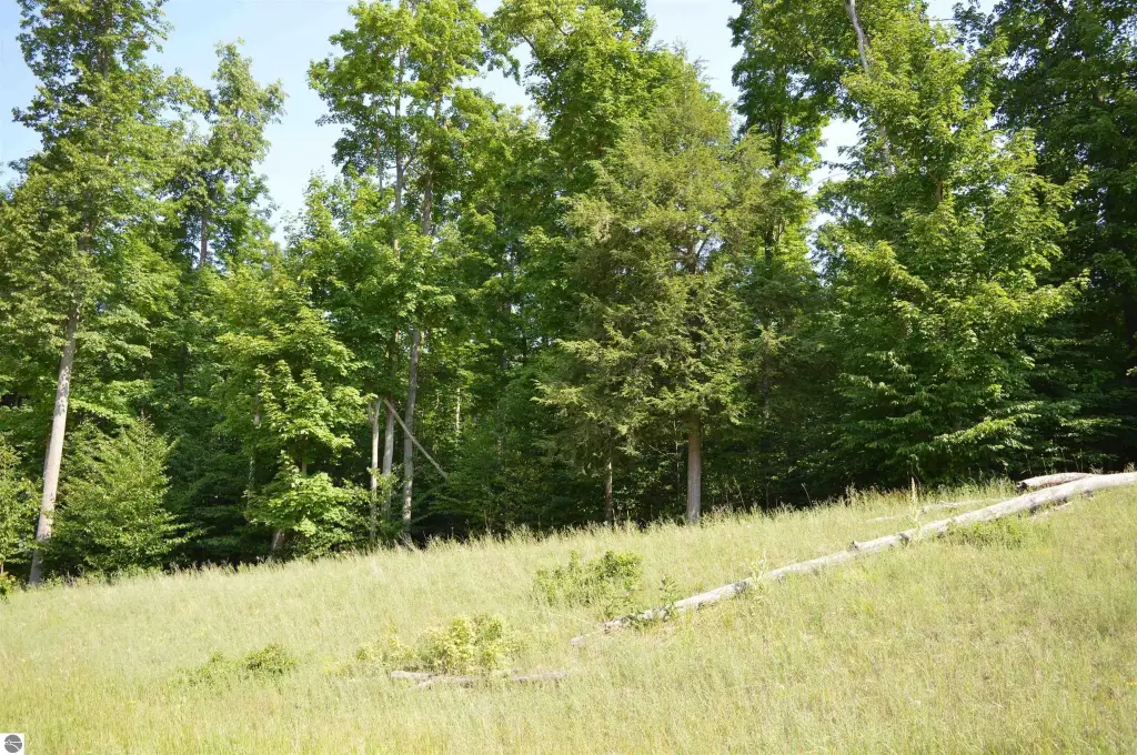 Picture 46