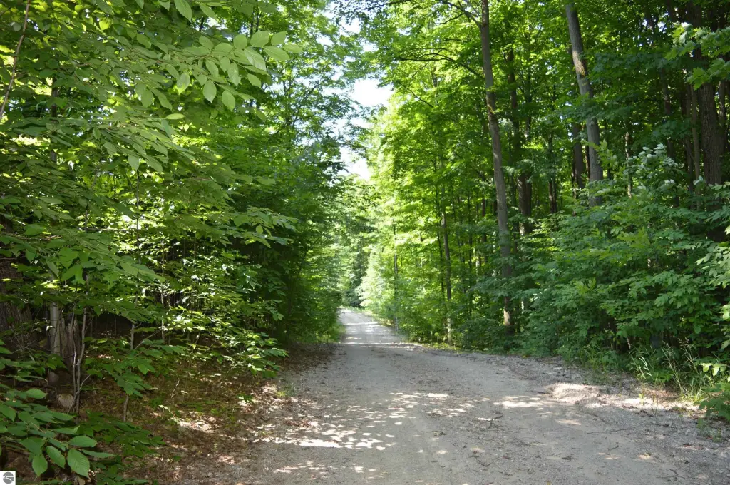 Picture 42