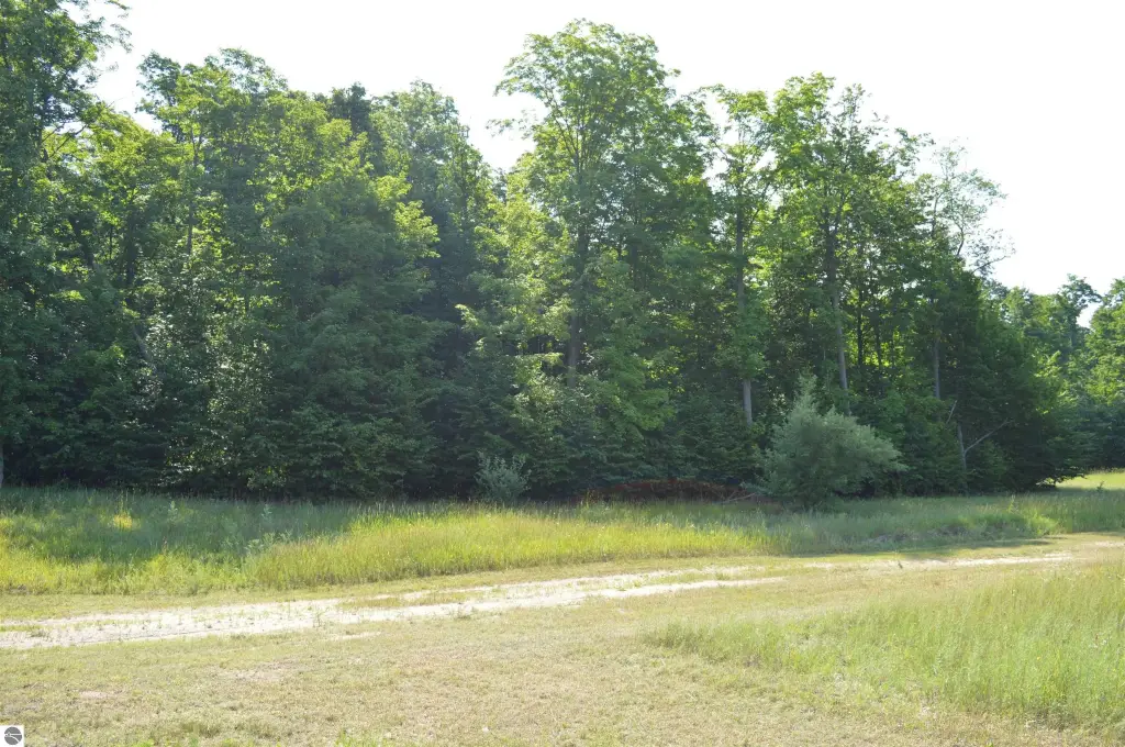 Picture 48