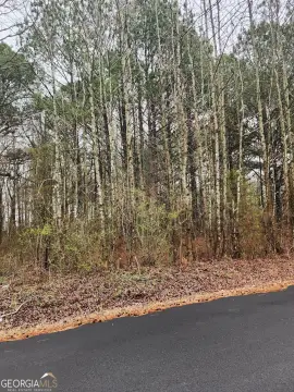 Bishop, GA - 1 Acre Lot