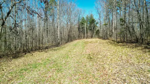 40 Acres Hunting Land