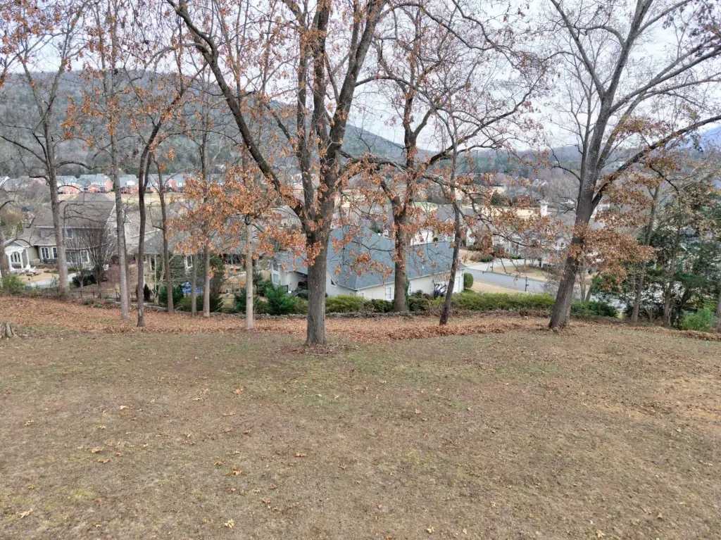 Picture 11